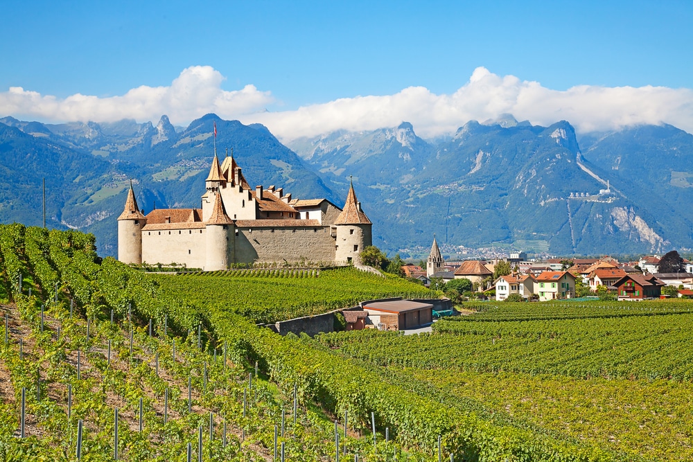 Aigle castle and surroundings